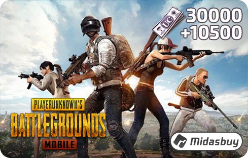 PUBG 30000UC
